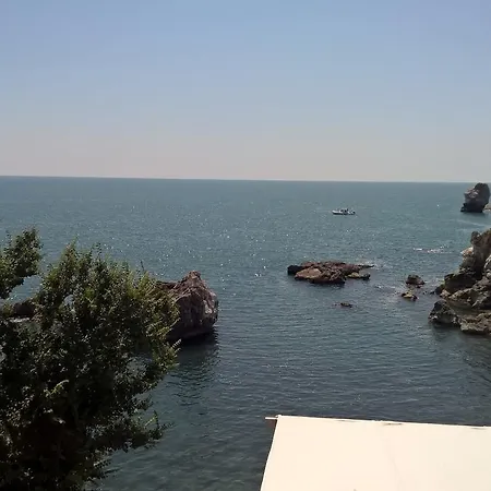酒店 Hotel Tyulenovo 3*